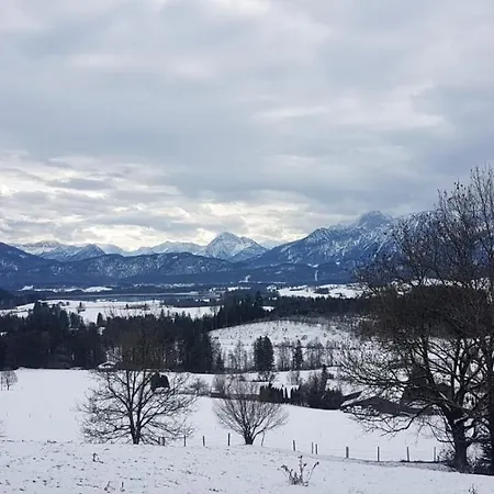 Neuschwanstein-blick 福森