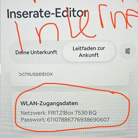 Neuschwanstein-blick *